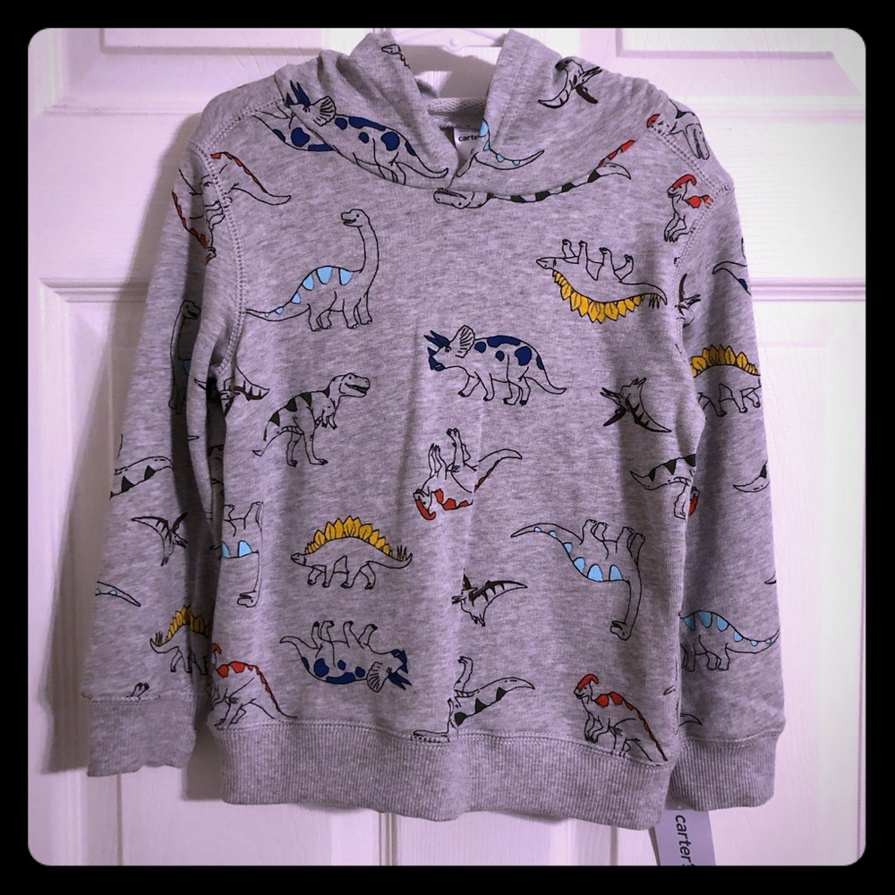Boys dinosaur hoodie